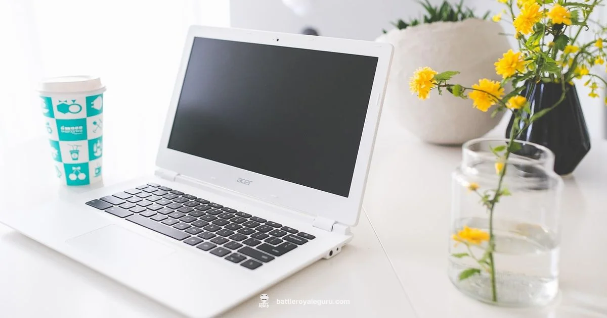 Fortnite on Chromebook - Battle Royale Guru