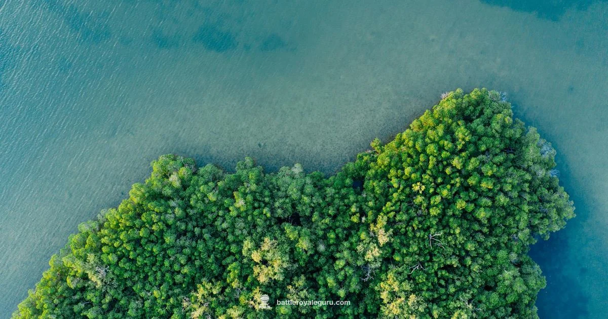 Fortnite Free Play Guide - Battle Royale Guru