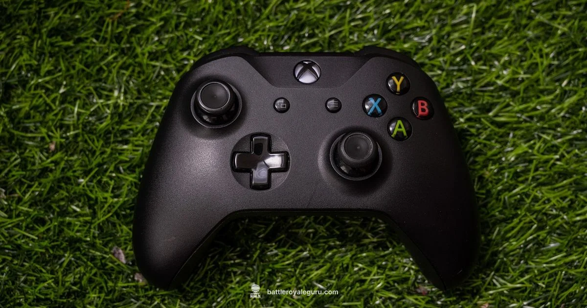 Controller on PC - Battle Royale Guru