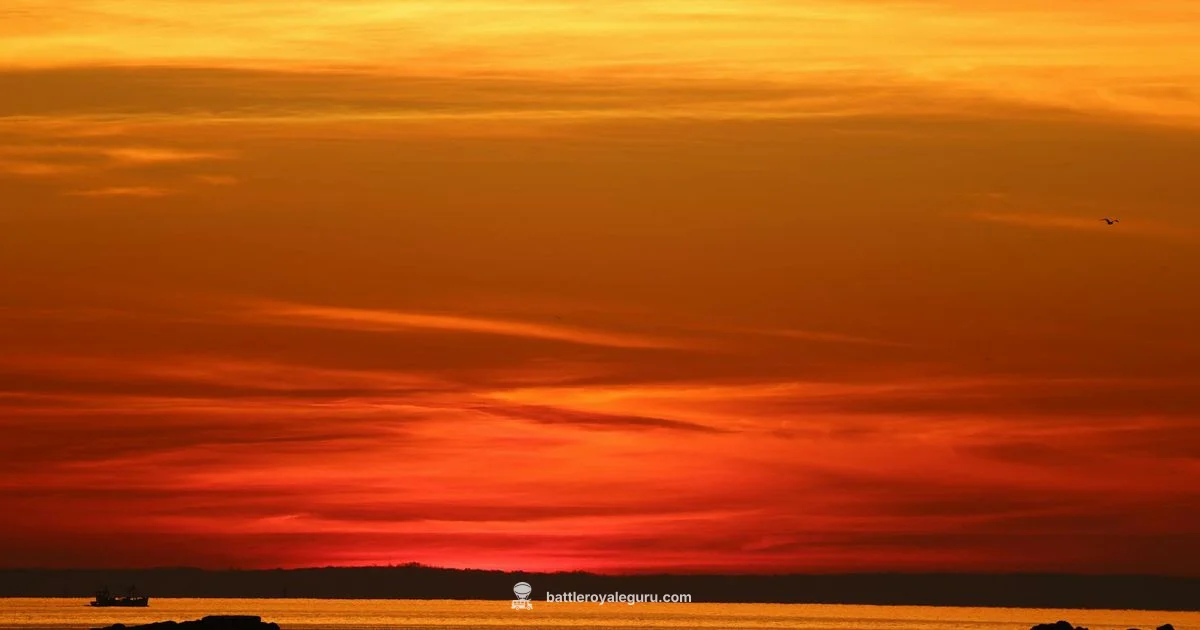 Battlebus Drop Strategy - Battle Royale Guru