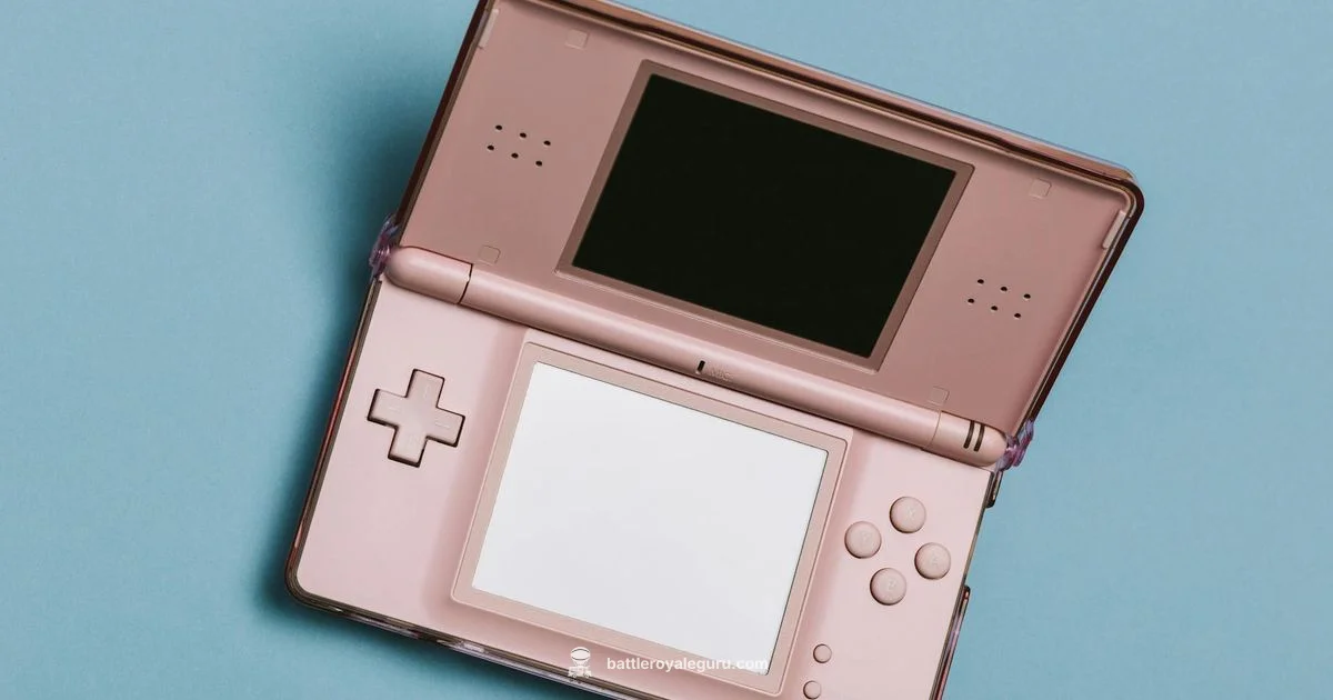 No Nintendo Online - Battle Royale Guru