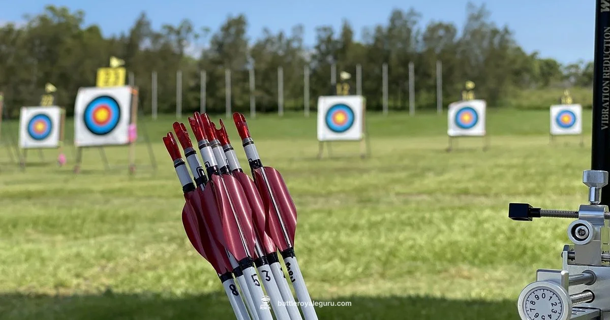 Aim Assist Guide - Battle Royale Guru