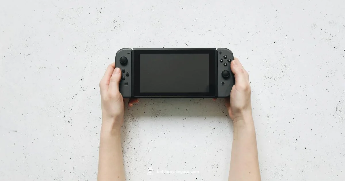 Fortnite Epic Guide - Battle Royale Guru