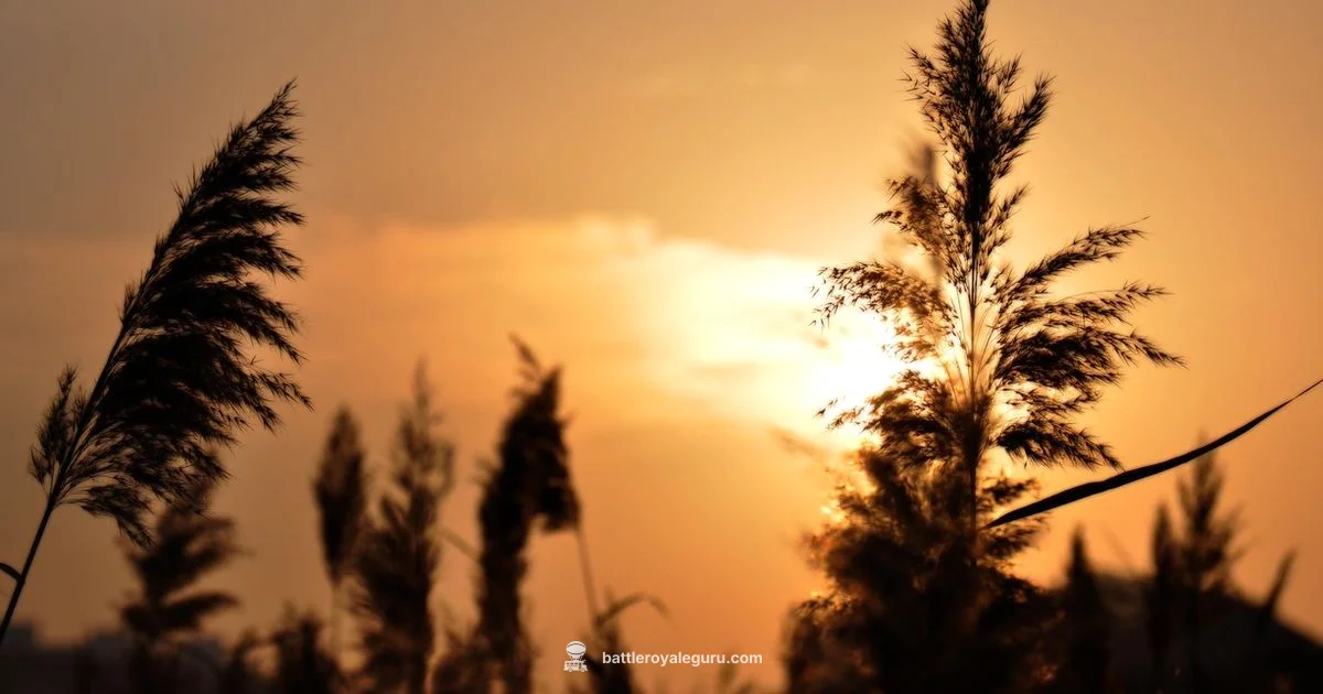 Fortnite Numbers - Battle Royale Guru