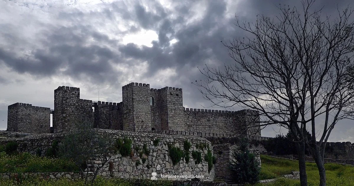 Fortnite vs COD - Battle Royale Guru