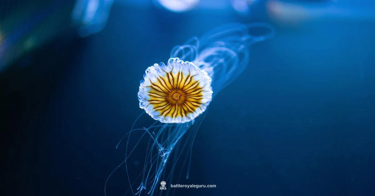 Jellie Outfit Style - Battle Royale Guru