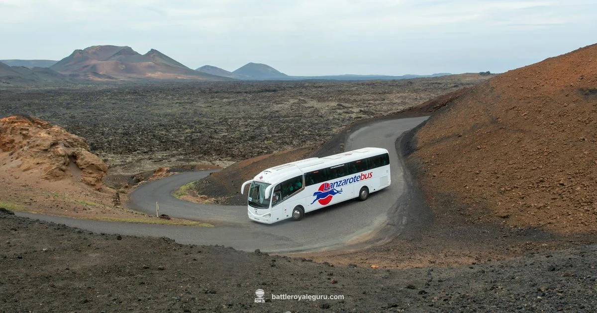 Season Overview - Battle Royale Guru