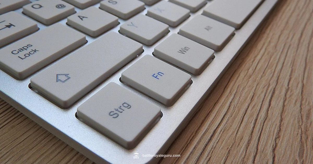 Input Setup Showdown - Battle Royale Guru