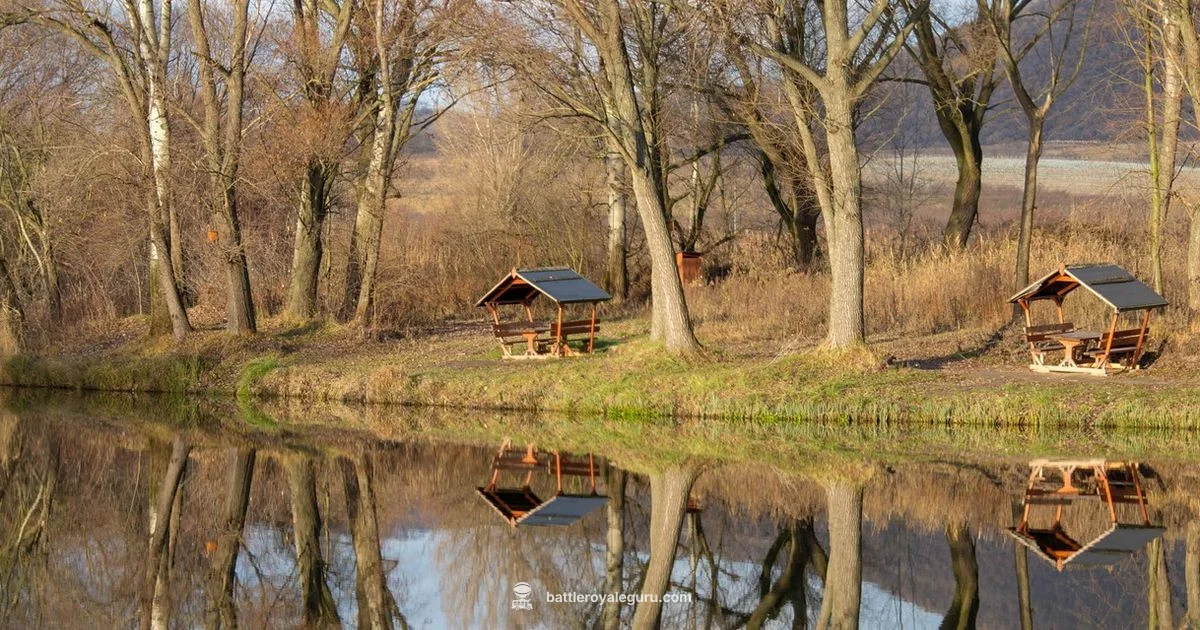 Turtle Location Guide - Battle Royale Guru