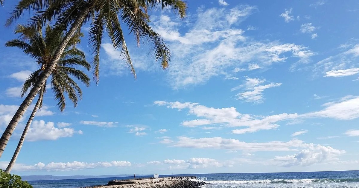 Fortnite BR vs Platform - Battle Royale Guru