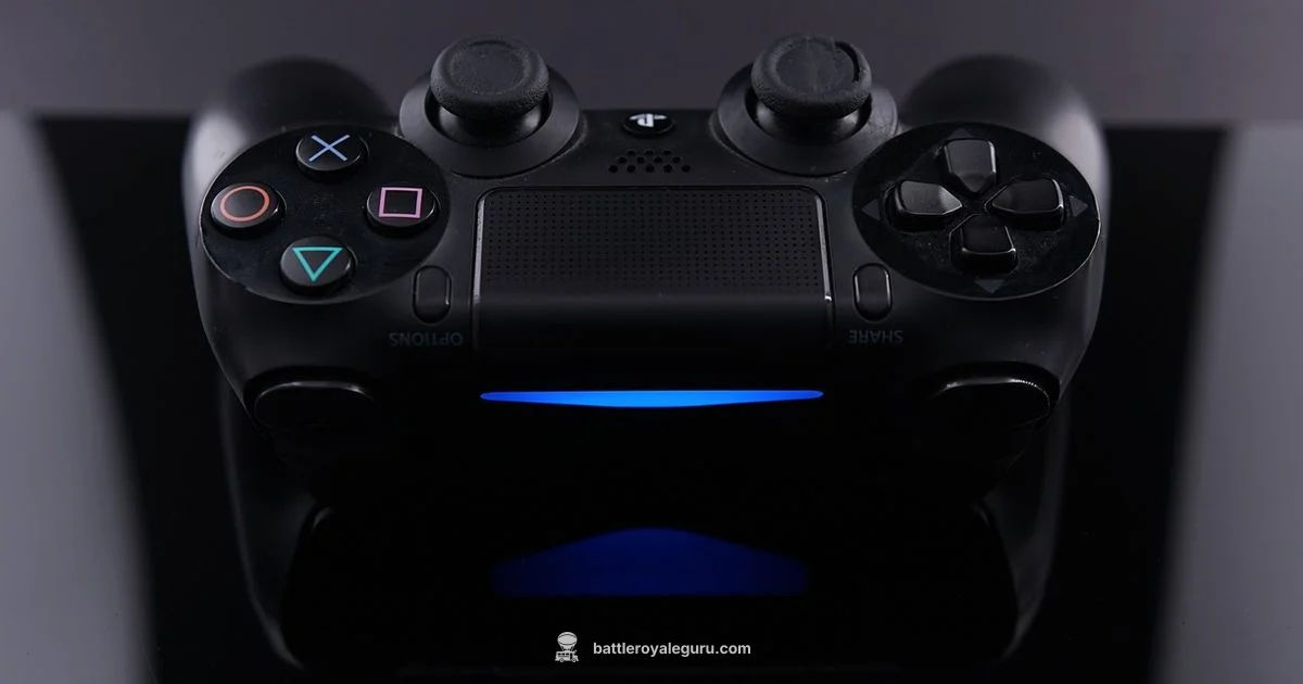 PS4 Fortnite Setup - Battle Royale Guru