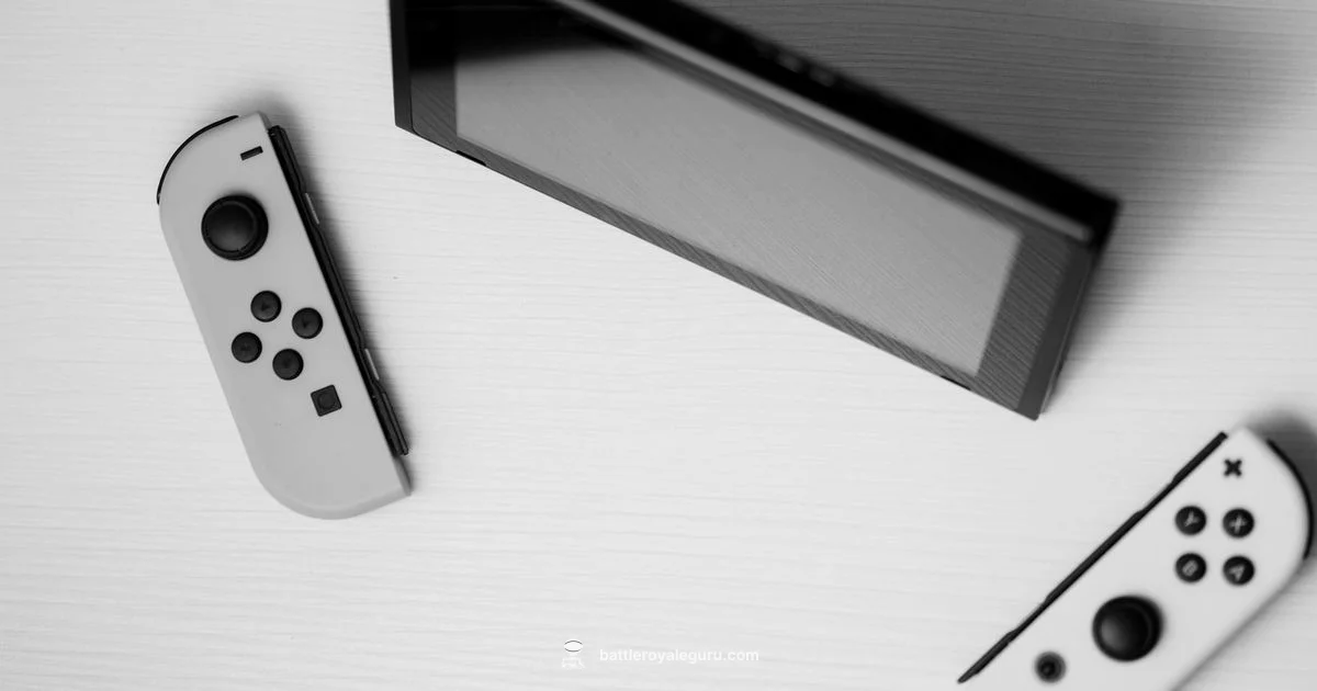 Fortnite on Switch Guide - Battle Royale Guru
