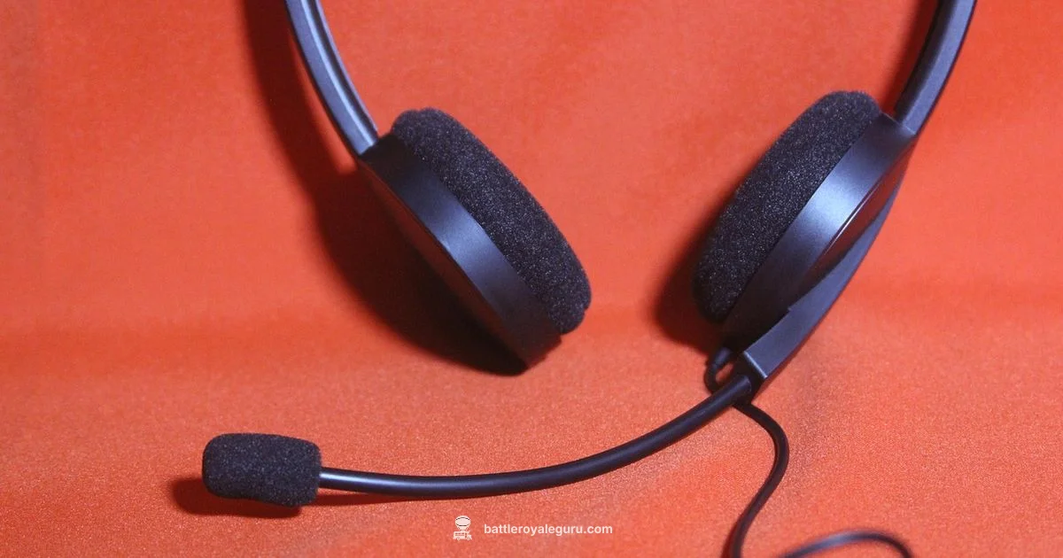 Voice Chat Setup - Battle Royale Guru