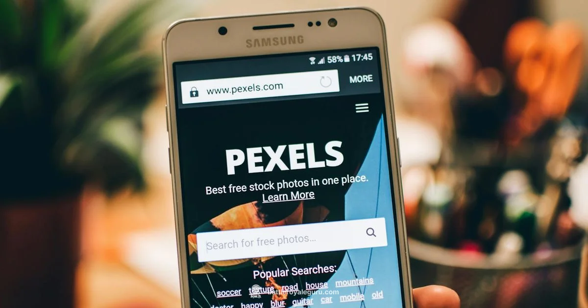 Split Screen Guide - Battle Royale Guru