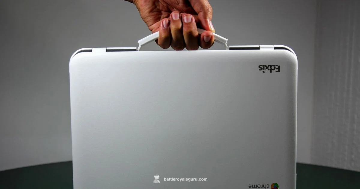 Chromebook Gaming Guide - Battle Royale Guru