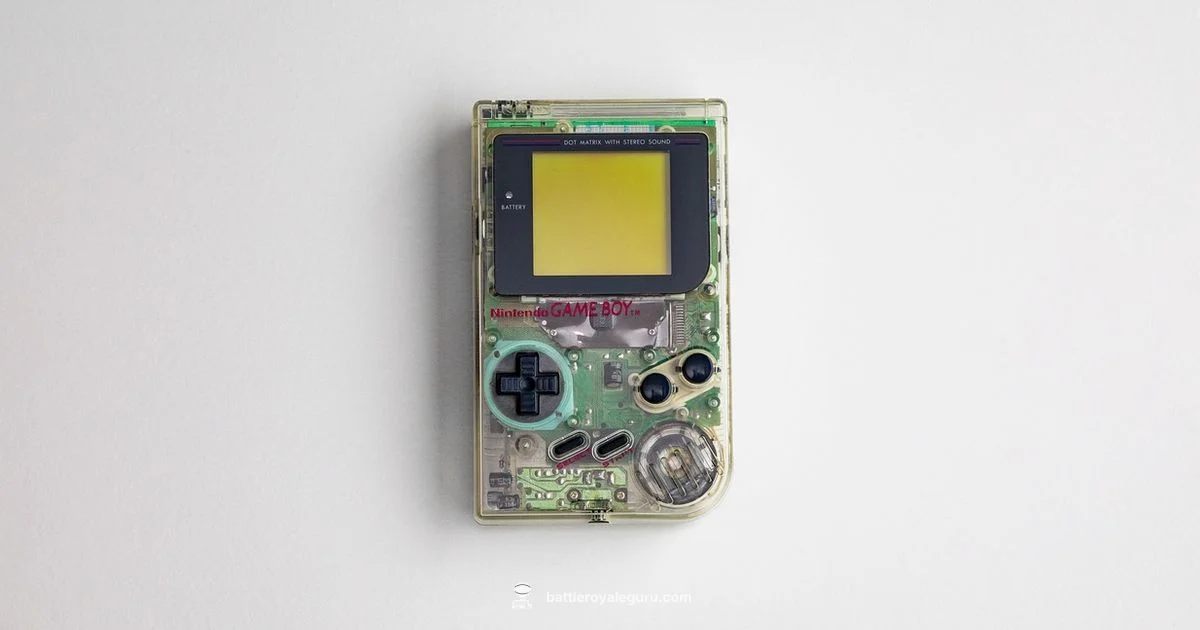 Fortnite on Switch Guide - Battle Royale Guru