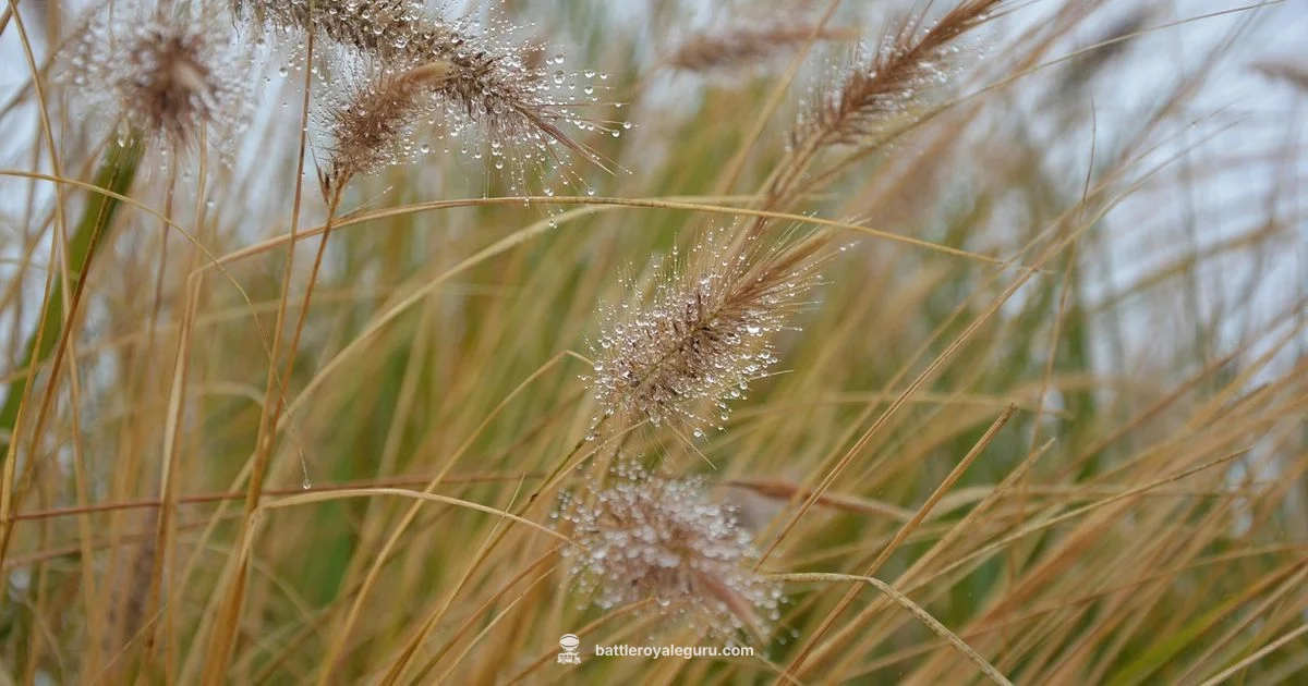 Stealth Guide - Battle Royale Guru