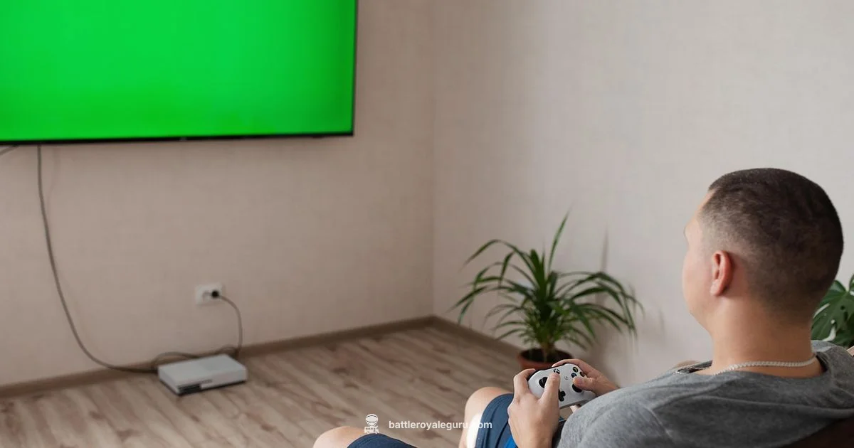 No-Player Guide - Battle Royale Guru