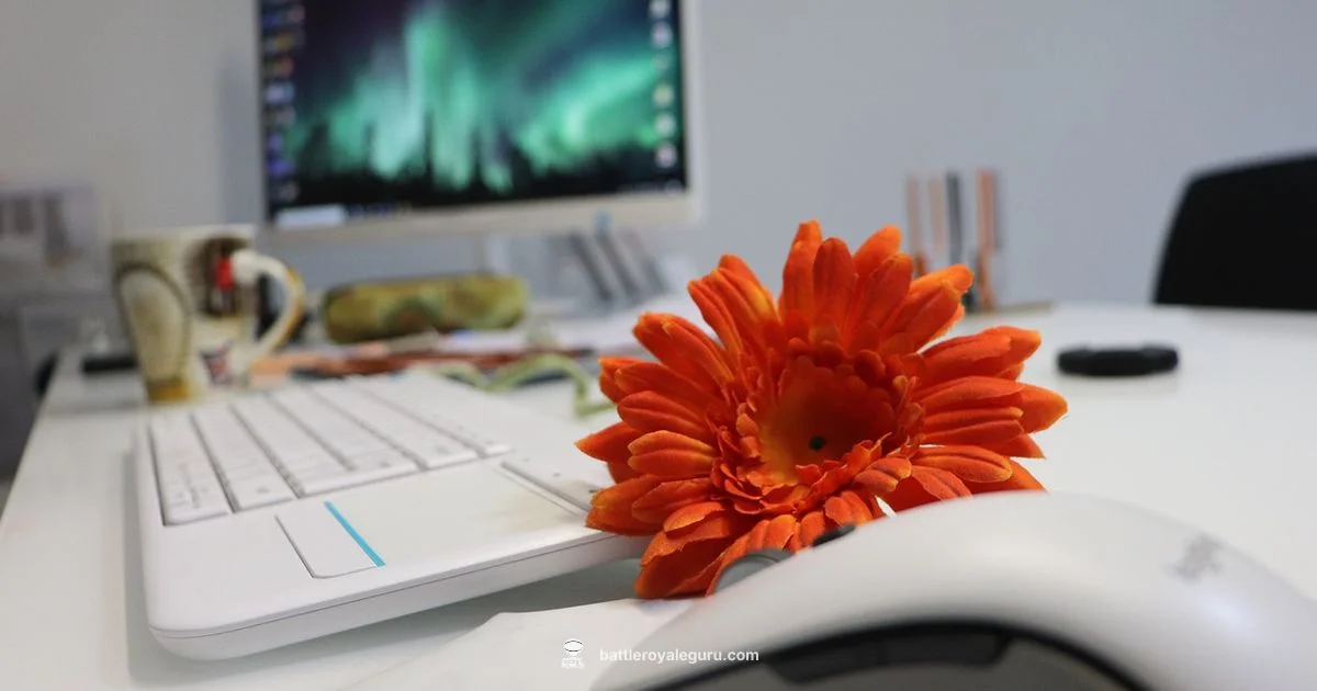 Reduce Edit Delay - Battle Royale Guru