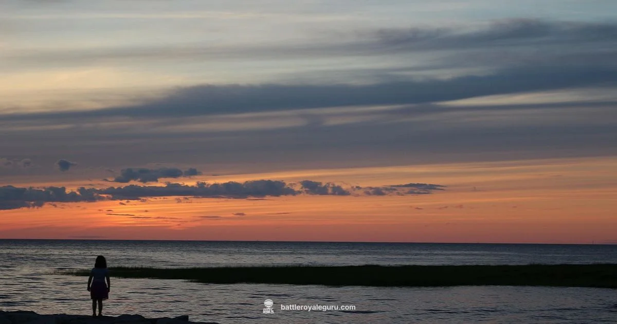 Finale Watch - Battle Royale Guru