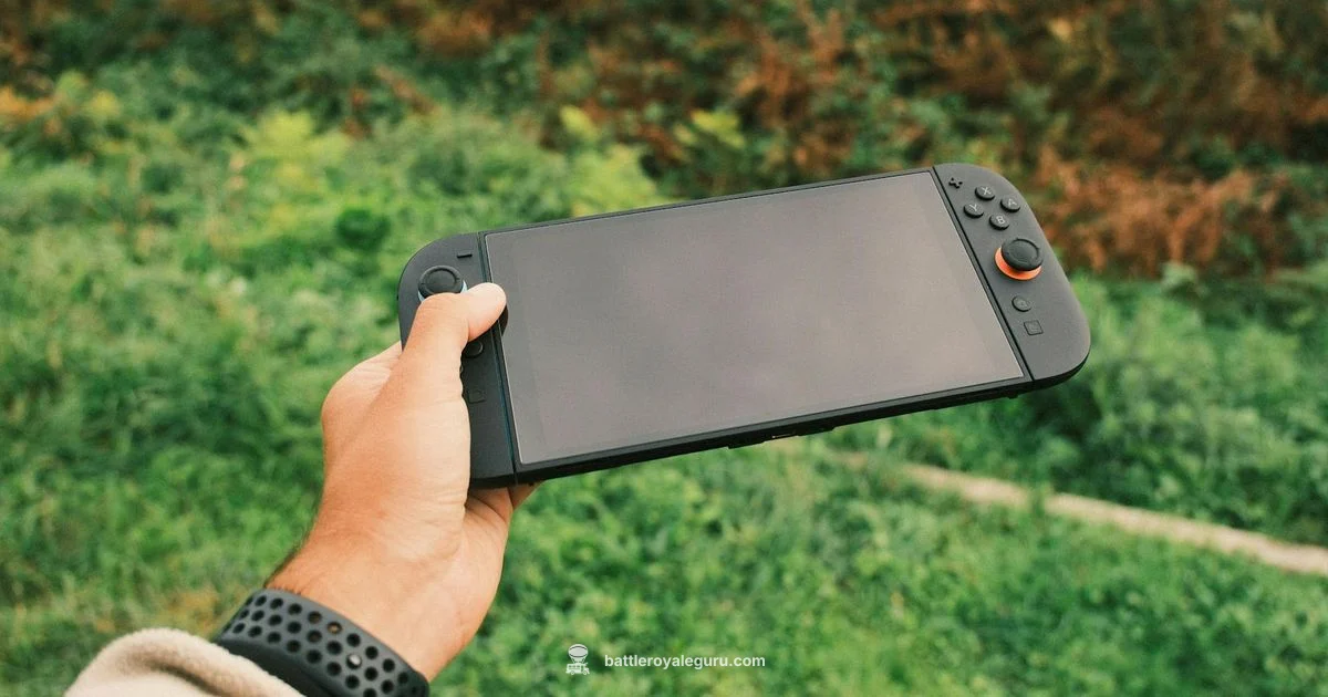 Best Switch Pros - Battle Royale Guru